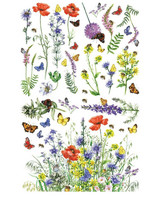 Siirtokuva - 65 x 98 cm - Wildflowers & Butterflies - Belles and Whistles