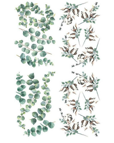 Siirtokuva - 65 x 98 cm - Cotton and Eucalyptus - Belles and Whistles