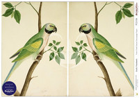 Decoupage-paperi A3 - Exotic Parakeets Posh Chalk