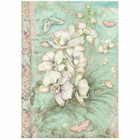Riisipaperi A4 - Stamperia Rice Paper White Orchid