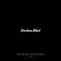 Kalkkimaali - Domus Natura - Chalk Paint - Firestone Black - Musta - 250 ml