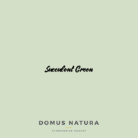 Kalkkimaali - Domus Natura - Chalk Paint - Succulent Green - Vaaleanvihreä - 250 ml