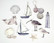 Vanerikoristeet - Sea & Shore Wood Shapes
