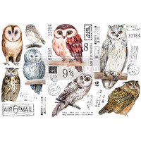 Siirtokuva - 45x30 cm - Owl - Prima Redesign Decor Transfer