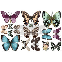 Siirtokuva - 45x30 cm - Butterfly - Prima Redesign Decor Transfer