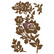 Koriste 13x20 cm - Prima Marketing Dainty Butwild Chipboard Diecut