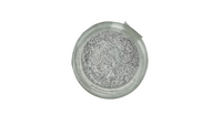 Hopeinen pigmenttijauhe 30 ml - Posh Chalk Pigment