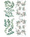 Siirtokuva - 65 x 98 cm - Cotton and Eucalyptus - Belles and Whistles