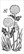 Sabluuna 10x21 cm - The Crafter's Workshop Dandelion Puffs Slimline Stencil