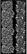 Sabluuna 12x25 cm - Stamperia Thick Stencil Garden of Promises Borders