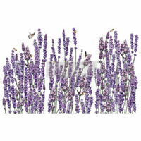 Siirtokuva 63x88 cm - Re-Design with Prima Decor Transfer Champs De Lavende