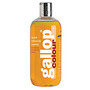 Gallop 500ml , Voikkoa väriä parantava Shampoo
