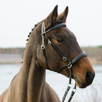 Kuolaimettomat Suitset  Globus Winnetou