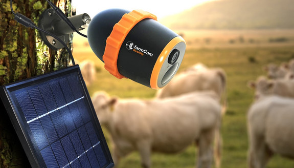 FarmCam on valvontakamera maatiloille ja hevostalleille
