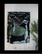 Spirulina 500g