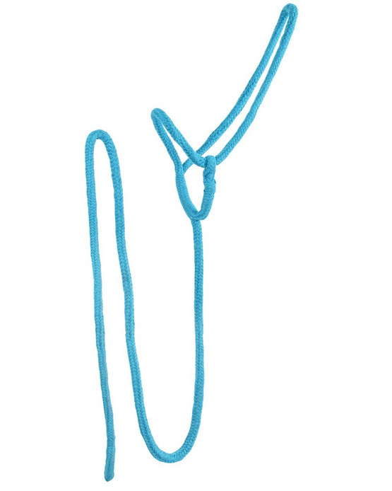 Yleisriimu