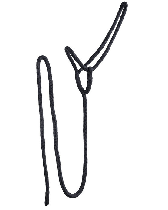 Yleisriimu