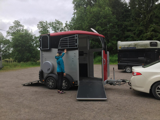 Vuokratraileri 1,5-hevosen Ifor Williams HBX403