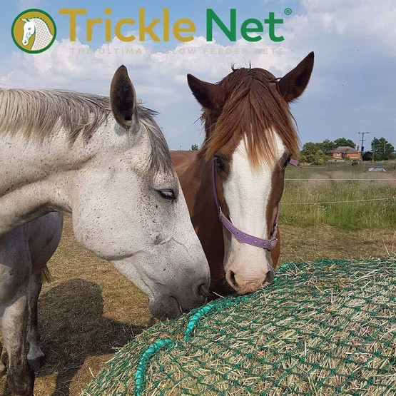 Trickle Net Slow Feeding -Verkko Pyöröpaalille