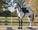 QHP Ontario Anatomiset Suitset musta