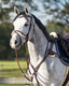 QHP Ontario Anatomiset Suitset ruskea PONI