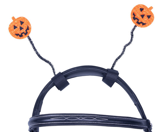 Halloween - Kurpitsa koriste hevoselle