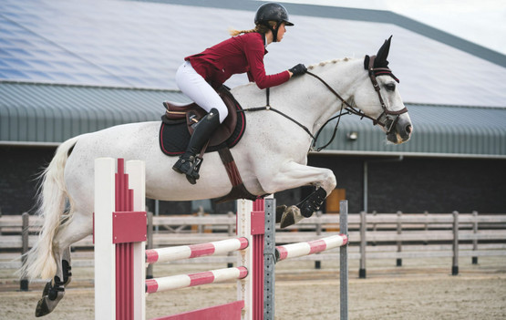 PresTeq FaySport -Suitset ruskea