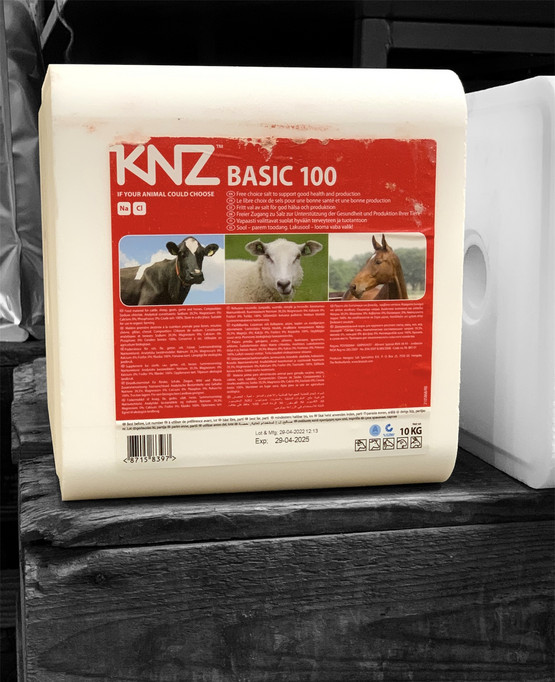 KNZ30 Nuolukivi, KNZ Basic 100, 10 kg