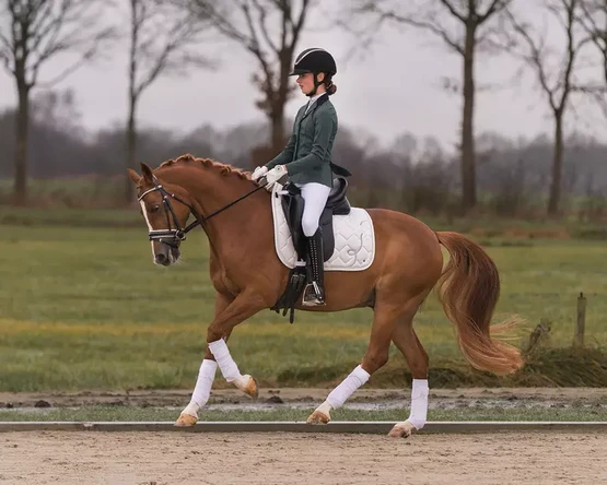 QHP Juliet Junior Kisatakki 140cm vihreä