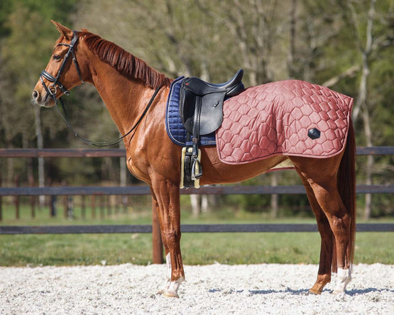 Qhp Classy Ratsastusloimi L
