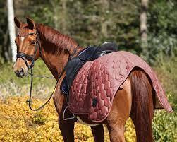 Qhp Classy Ratsastusloimi L