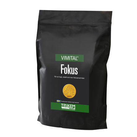 Fokus