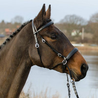 Kuolaimettomat Suitset  Globus Winnetou
