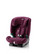 Burgundy Red - luumu