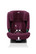 Burgundy Red - luumu