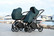 Nord Active Plus Starttipaketti 2023 + Joie i-Gemm (360)