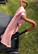 Kuvioidut harsot, 70x80, LUX - Pinkit flamingot