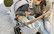 Britax STRIDER M -yhdistelmävaunu, Black Shadow - TOIM.Tammikuussa