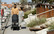 Britax Strider M Starttipaketti - Britax Primo