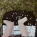 Memory foam -istuinpehmuste rattaisiin, Woodland by Makaszka