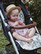 Starttipaketti, Maxi Luxe Nord