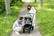 Britax Smile 4 - Atlantic Green / Black -yhdistelmä