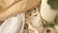 Harsopaketti, beige, 3 kpl, puuvilla, 70x80cm