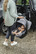 Britax Baby-Safe Core -turvakaukalo