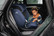 Britax Versafix, i-Size, 76-105cm