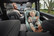 Britax DUALFIX 5Z -turvaistuinyksikkö