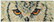 CdA Magnetic Look Timanttimaalaus -magneetti