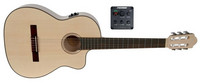 Elektroakustinen nylonkitara 4/4 Gewa Pro Natura Silver Samba