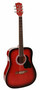 Teräskielinen kitara Richwood Artist  RD12RS
