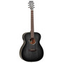 Elektro-akustinen kitara Tanglewood Blackbird TWBB OE